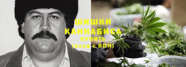 стаф Галич
