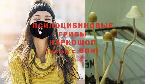 бутират Аркадак