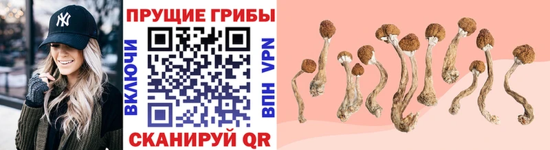 Галлюциногенные грибы MAGIC MUSHROOMS  Кашин 