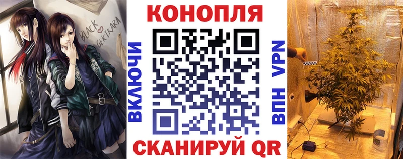 Марихуана Amnesia  что такое наркотик  Кашин 